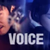 Voice