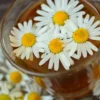 chamomile-829220_1280.jpg