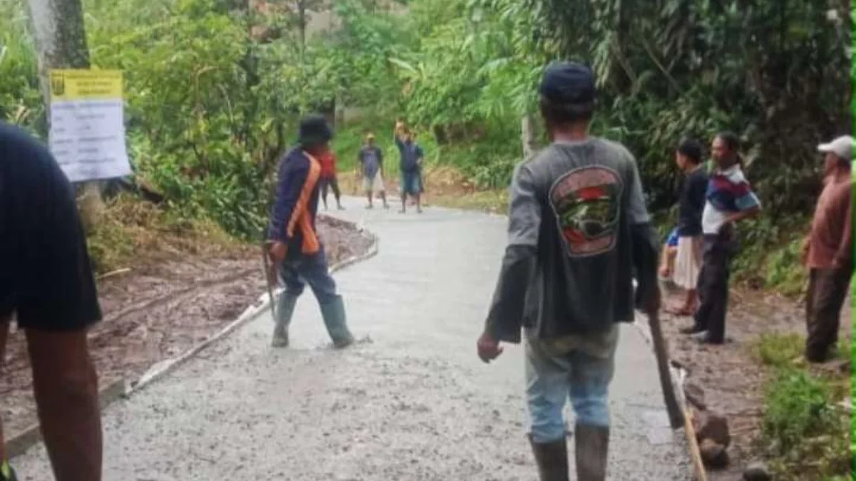 Pemdes Sukamaju, Kecamatan Cikembar, Kabupaten Sukabumi, Jawa Barat, merabat beton jalan desa