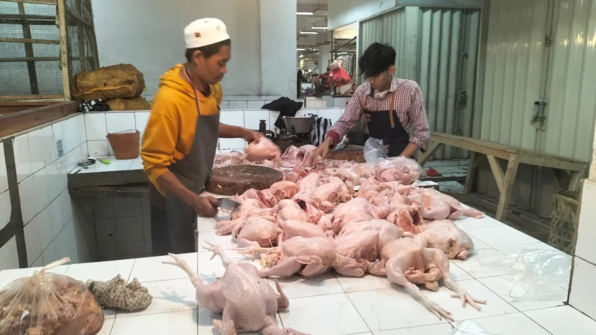 Harga daging ayam