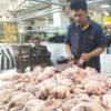 Seorang pedagang daging ayam di Pasar Pelita Kota Sukabumi melayani pembeli.