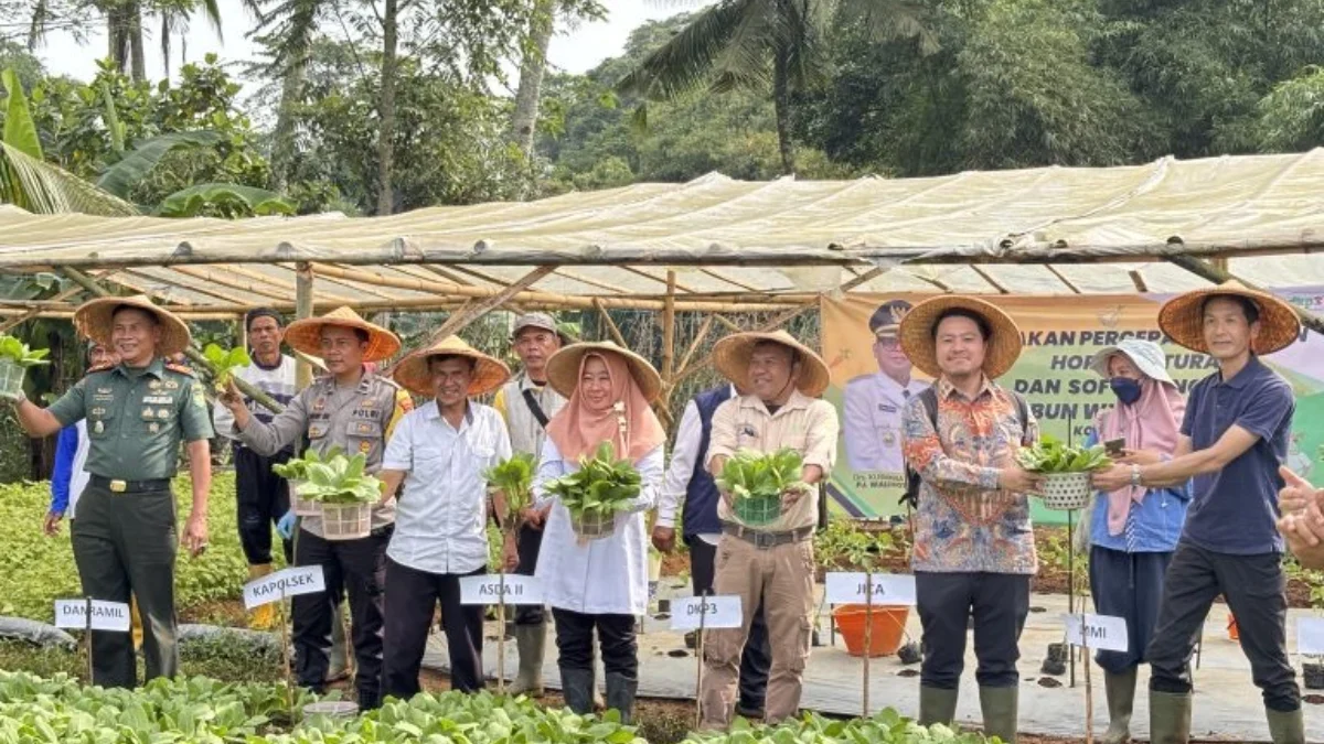 Kelompok Tani Mucekil membuat kebun wisata