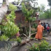 Personel BPBD Kota Sukabumi mengevakuasi pohon tumbang