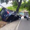 LAKALANTAS Bus bernomor polisi F 7511 UD jurusan Palabuhanratu - Bogor menabrak pohon