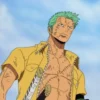 Roronoa Zoro.