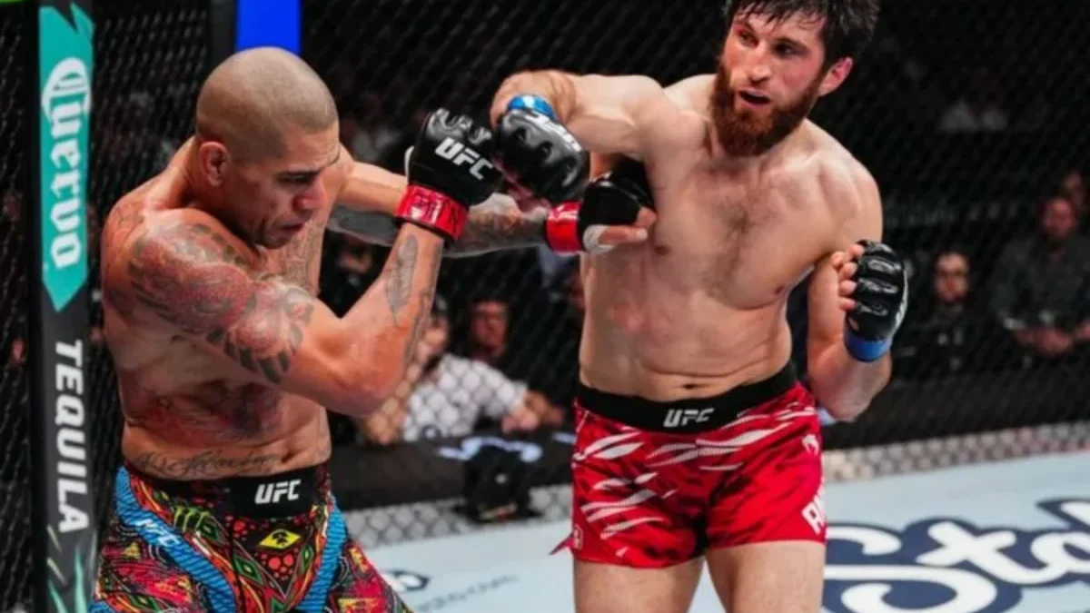 Magomedov Ankalaev Raih Sabuk Juara Usai Taklukkan Alex Pereira di UFC 313