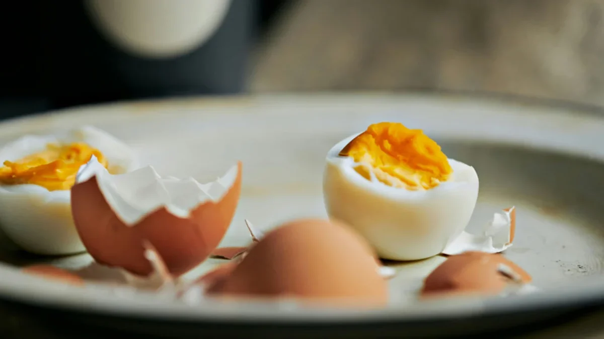 Makan Telur Setiap Hari