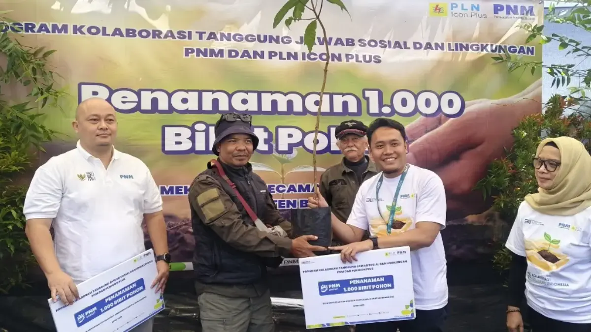 PLN Icon Plus