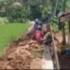 Istimewa