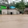 Istimewa