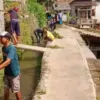 Istimewa