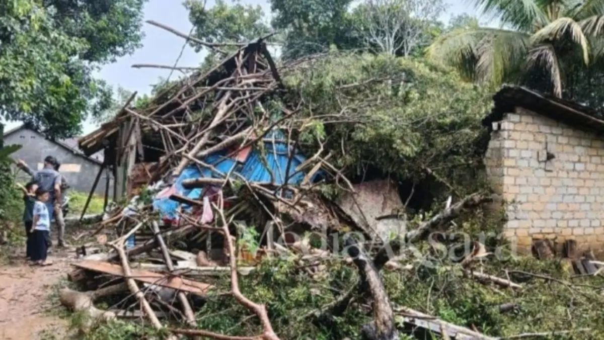Rumah Lansia di Jampangkulon Ambruk Tertimpa Pohon Tumbang Istimewa