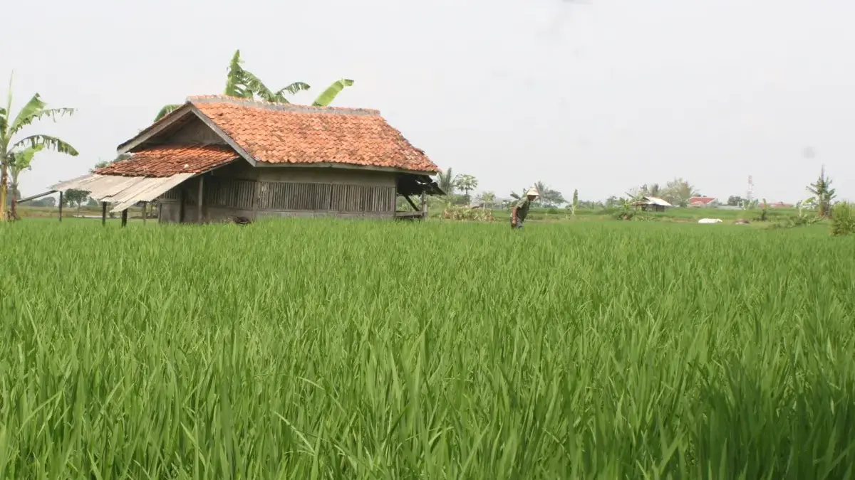 Restoeboemi Kampanyekan Lingkungan Istimewa