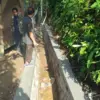 Istimewa