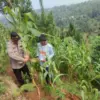 Istimewa