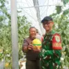 Istimewa