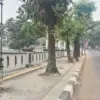 Istimewa