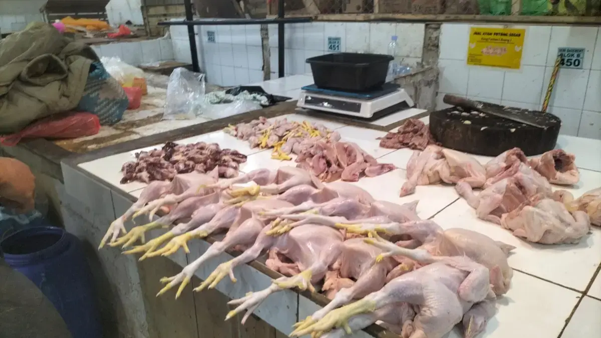 MBG Picu Naiknya Harga Daging Ayam dan Telur Ayam? Istimewa