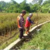 Istimewa