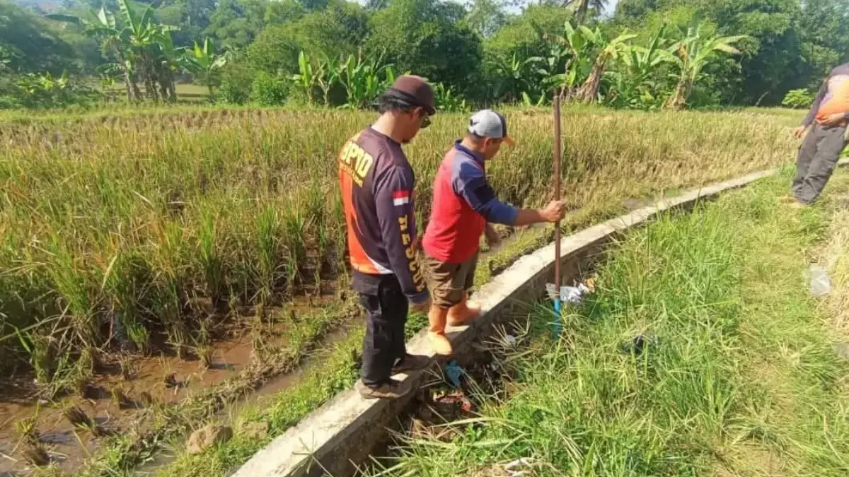 Istimewa