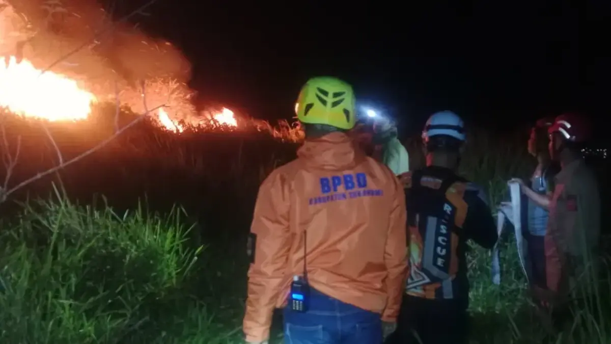 Lahan 2 Ha Terbakar, Dipicu Cuaca Panas Istimewa