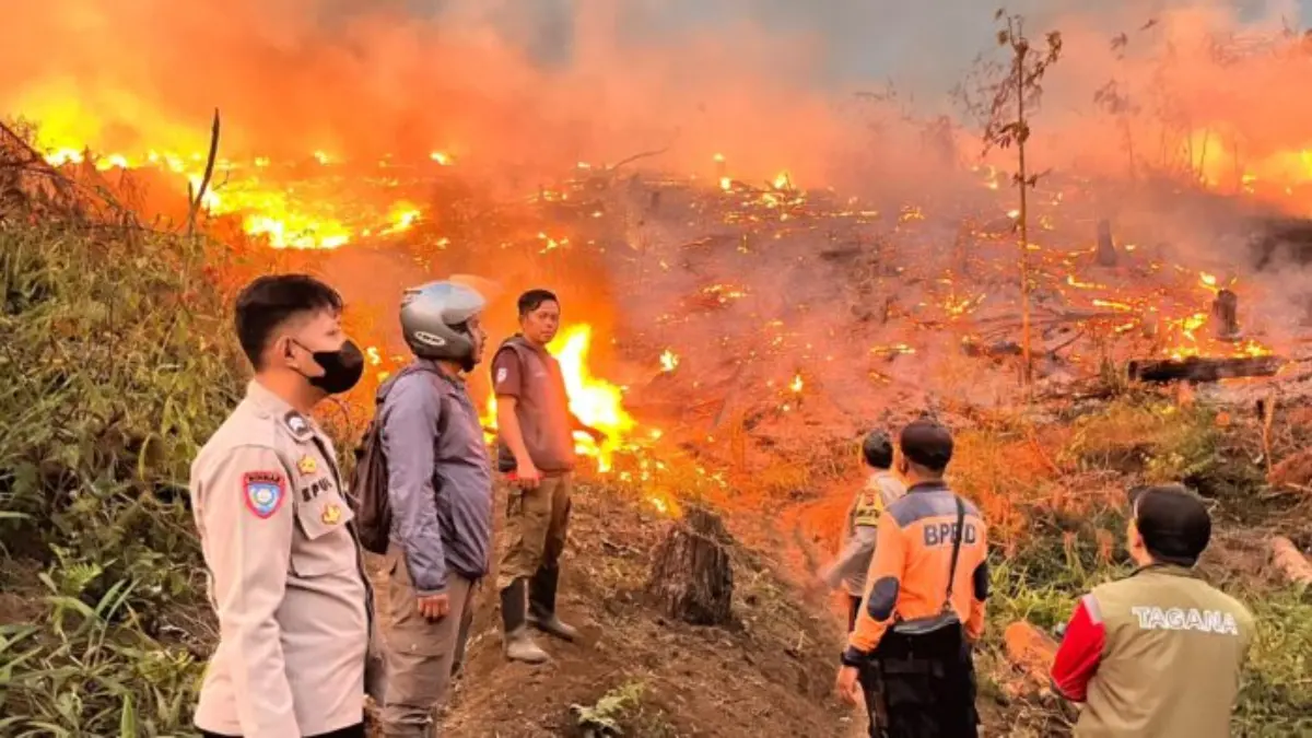 Kebakaran Hanguskan 18 Hektare Lahan Perhutani di Jampangtengah Sukabumi Istimewa