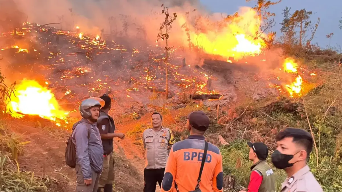 Belasan Hektare Lahan Perhutani di Jampangtengah Terbakar Istimewa
