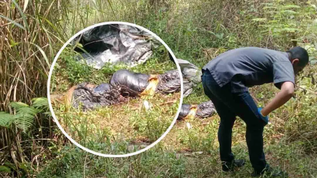 Jasad Pria Tanpa Identitas Ditemukan di Bawah Jembatan Tol Bocimi Istimewa