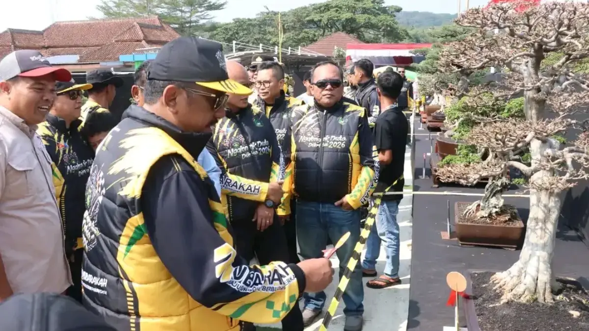 Kontes Bonsai Bisa Menjadi Daya Tarik dan Potensi Tanaman Has di Sukabumi Istimewa