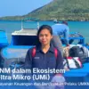 AO PNM