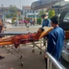 Istimewa