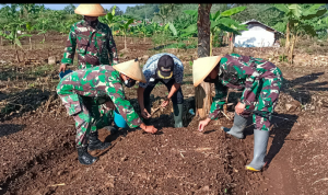 Tingkatkan Ketahanan Pangan, Kodim 0610 Sumedang Ajak Masyarakat Tanam Jagung