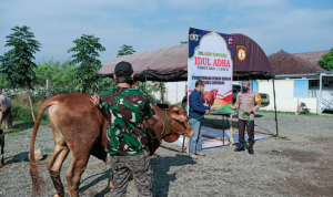 Polres Sumedang Salurkan 4 Ekor Sapi dan 11 Domba