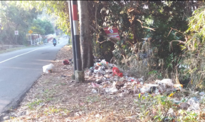 Tumpukan Sampah Masih Menjadi Hiasan Bahu Jalan di Sumedang