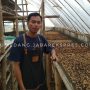 Pemuda Asal Rancakalong Memilih Profesi Sebagai Petani Kopi