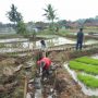 Sering Jebol, Pemdes Cieunteung Bangun TPT Saluran Irigasi