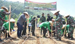 Pangdam III Siliwangi Menaman Jagung Hibrida Bersama Bupati Sumedang