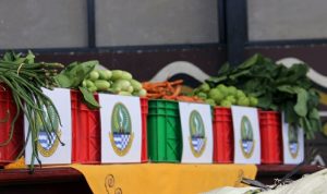 Dinas Kehutanan Jabar Bantu Pakan Satwa Kebun Binatang Bandung Beli Sayur dari Petani Terdampak COVID-19