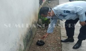 Lapas Sumedang Geram, Ribuan Butir Obat Terlarang Ditemukan dalam Kantong Plastik Hitam