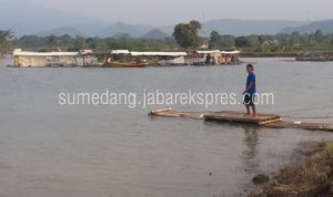 Ikan Jatigede Langka Masih Jadi Misteri