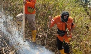 Diduga Akibat Puntung Rokok, Lahan Kering Terbakar