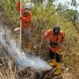 Diduga Akibat Puntung Rokok, Lahan Kering Terbakar