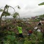 Pohon Raksasa Makam Pasarean Tumbang, Tiga Rumah Rusak Parah