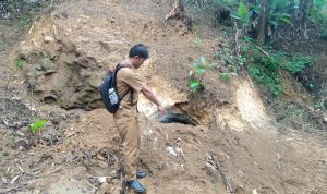 Ramai Gunung Emas, Kades Benarkan Pernah Ada Penelitian