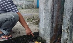 Obat Batuk Marak Dijadikan Bahan Untuk Mabuk