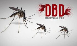 Waspada! Demam Berdarah Semakin Merajalela