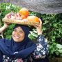 Tips Sukses Berkebun di Tanah Tandus