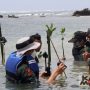 Mahasiswa Fakultas Teknik Geologi Universitas Padjadjaran melakukan penanaman 1.000 bibit mangrove di kawasan Pantai Muara Sawah Kabayan, Desa Muara, Lebak, Banten. (Foto : Istimewa/www.unpad.ac.id)