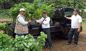 Pemdes Ajak Warga Tanami Lahan Kosong