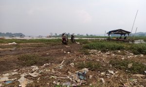 Muara Sungai Cimanuk Berbau Tak Sedap